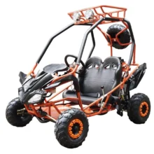 DongFang 125cc Kids Go Karts Type-GTS