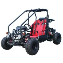 Taotao GK110 Kids Gas Go Kart Dune Buggys.