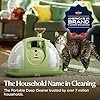BISSELL Little Green Multi-Purpose Portable Carpet and Upholstery Cleaner, Car and Auto Detailer, with Exclusive Specialty Tools, Green, 1400B - Image 5