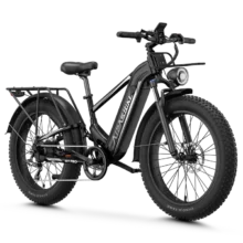 Aipas M2 Xterrain Ebike Aipas-M2-black Baskets.