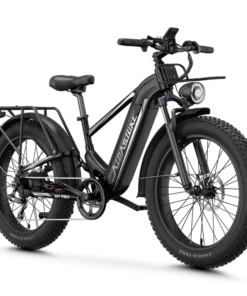 Aipas M2 Xterrain Ebike Aipas-M2-black Baskets.
