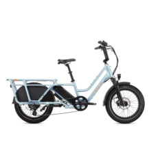 Rad Power Bikes RadWagon 5 Electrics Cargo Bikes