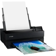Epson SureColor P900 17-Inch Photo Printers