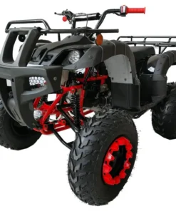 200 ATV Quad 4 Wheelers Utility Full Sizee Adult ATVs Big Youth ATVs