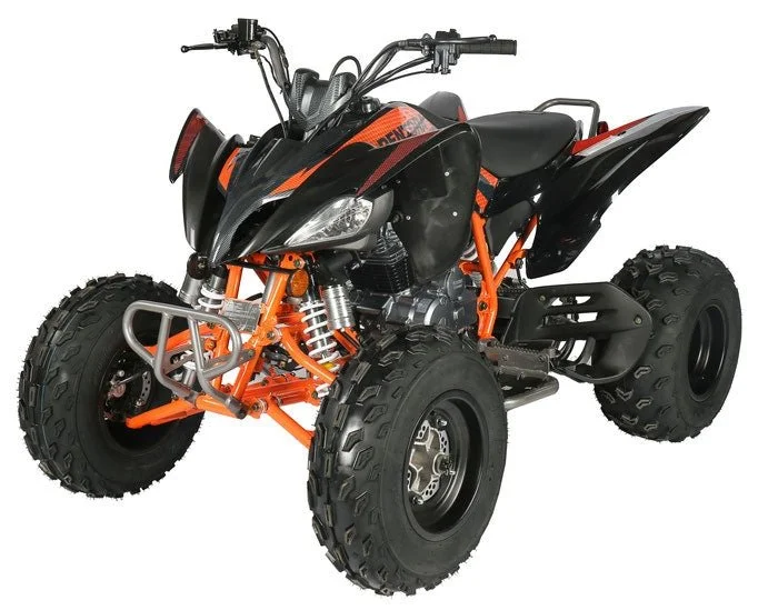 Regency PRO Ultra Sports 250cc ATV - Image 4