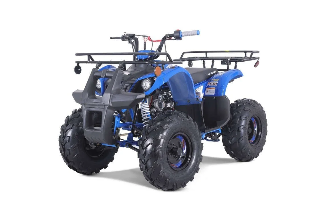 TaoTao T-Force T125 4-Wheeler All-Terraiin Vehicle ATV - Image 4