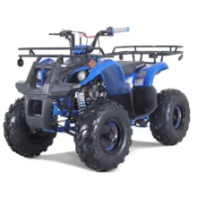 TaoTao T-Force T125 4-Wheeler All-Terraiin Vehicle ATV